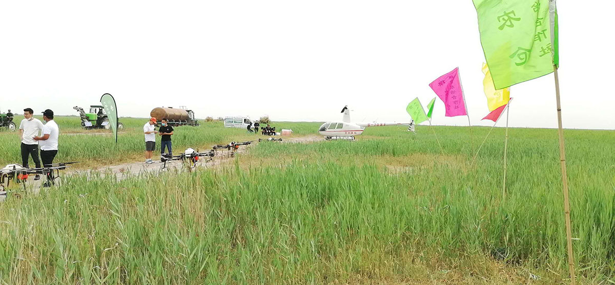 內(nèi)蒙古天羽通用航空有限公司飛機(jī)防治蝗蟲