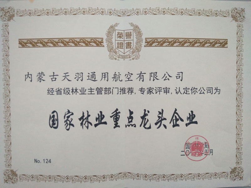 重點(diǎn)龍頭企業(yè)